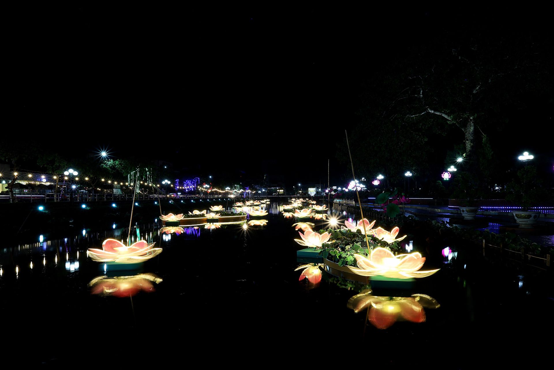 Khu vực tổ chức Lễ hội sen được đầu tư công phu, tạo ánh sáng, cảnh quan đẹp mắt.