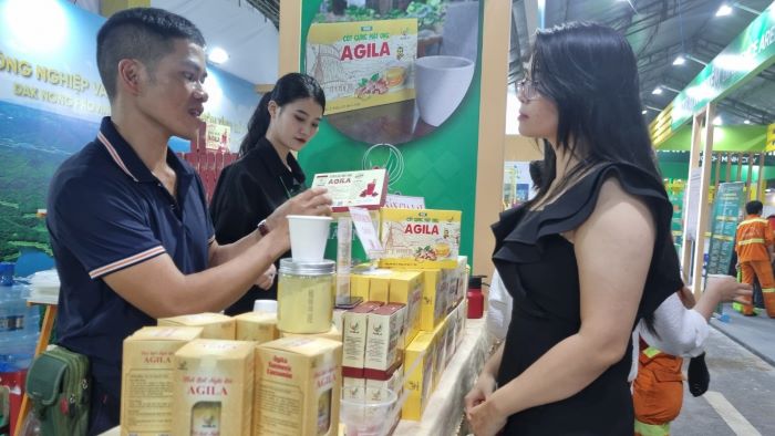 Ở lần tổ chức đầu tiên, lễ hội quy tụ sự tham gia của 15 quốc gia và 20 tỉnh, thành của Việt Nam, 160 doanh nghiệp trưng bày sản phẩm, mô hình trải nghiệm sâm và hương liệu, dược liệu, 40 gian hàng trải nghiệm ẩm thực.
