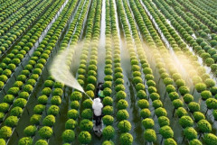 Nông nghiệp công nghệ cao - Nông nghiệp sạch sẽ là xu hướng  phát triển hiện đại nhất của ngành