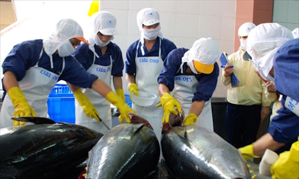 Muốn quay lại mốc 1 tỷ USD, doanh nghiệp xuất khẩu cá ngừ cần trợ lực