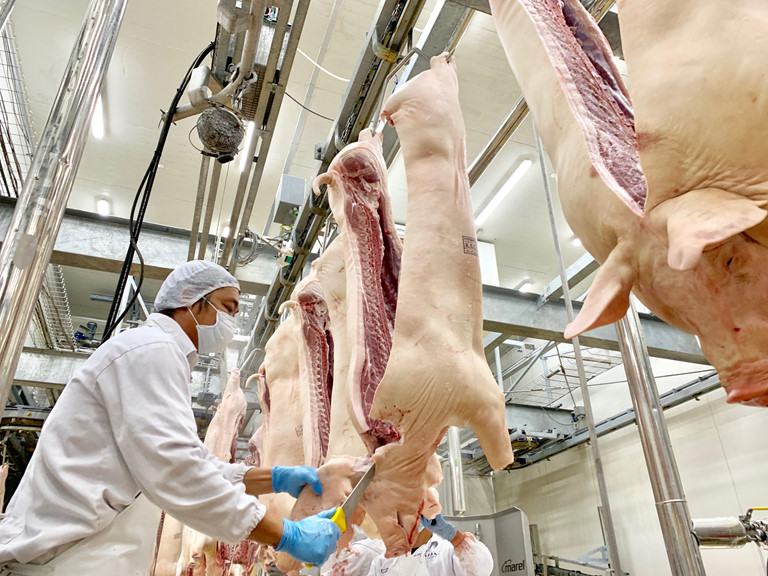 Mức tiêu thụ thịt heo năm 2024 dự báo sẽ giảm 0,8%