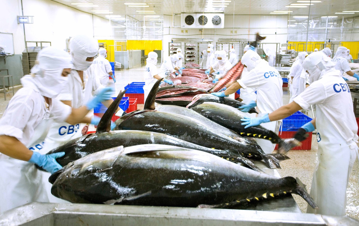 Kiến nghị tháo gỡ nhiều "nút thắt" để cá ngừ Việt Nam rộng cửa tại thị trường thế giới