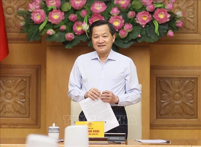 Deputy Prime Minister Le Minh Khai spoke at the June 12 meeting of the Price Management Committee, evaluating the management and administration results of the first six months and setting the direction for price management for the remaining months of 2024