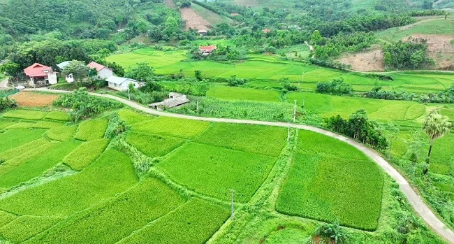 Đường bê tông trải dài đã làm thay đổi diện mạo khắp các miền quê của huyện Yên Bình