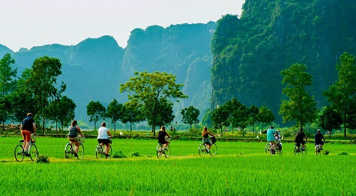 Practical application of carbon credits to the economy. Part IV: Carbon as a trending approach in Vietnam's tourism industry