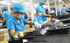 Tầm quan trọng của cộng đồng doanh nghiệp nhỏ và vừa trong phát triển kinh tế ở Việt Nam