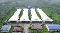 Ngân hàng Vietcombank rao bán nhà máy sản xuất trứng gà hơn 131 tỷ đồng ở Phú Thọ để thu hồi vốn