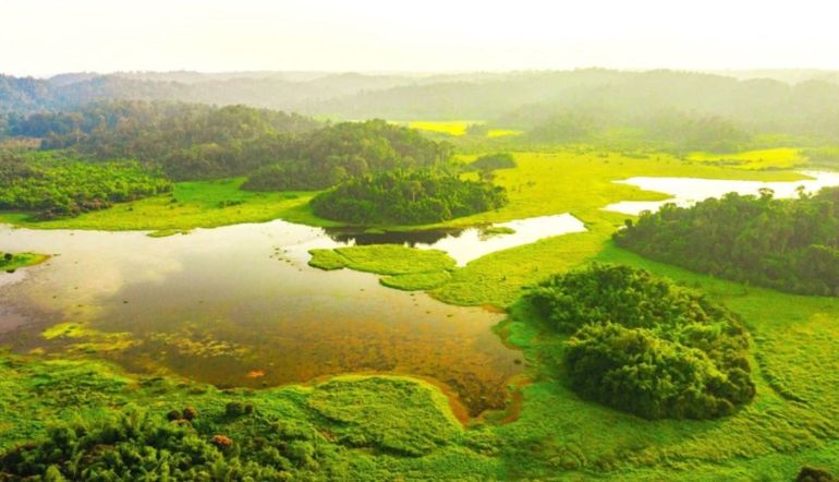 Vườn Quốc gia Cát Tiên được IUCN công nhận Danh lục Xanh: Bước ngoặt bảo tồn thiên nhiên Việt Nam
