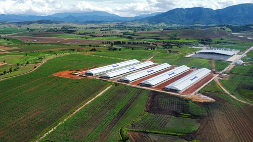 Trang trại Vinamilk Lào – Jagro tại cao nguyên Xiêng Khoảng (Lào) có

tổng mức đầu tư giai đoạn một là 150 triệu USD