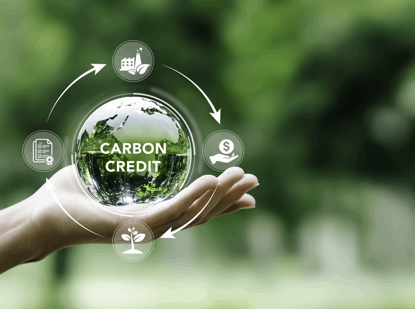 The global carbon market could reach a value of $250 billion by 2030, with 196 countries committed to reducing greenhouse gas emissions under the Paris Agreement on climate change, highlighting potential opportunities for sustainable business development in Vietnam