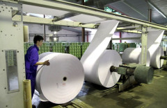 Nỗ lực xanh hóa của ngành giấy để hướng tới một tương lai bền vững