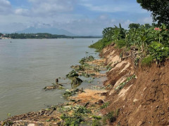 Phú Thọ: Đầu tư 14,5 tỷ đồng xử lý khẩn cấp vị trí sạt lở bờ sông Đà