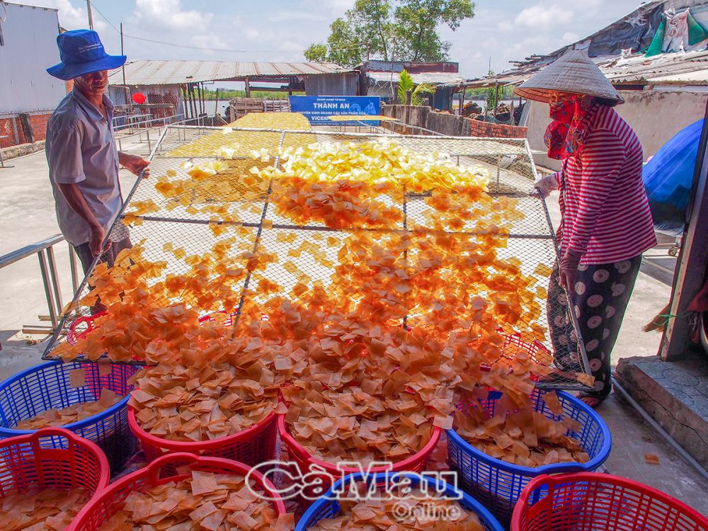 Hiện các ngành chức năng tích cực hỗ trợ các chủ thể nâng cao chất lượng và giữ uy tín thương hiệu để đưa sản phẩm quê hương vươn xa ra thị trường trong, ngoài tỉnh và xuất khẩu. (Trong ảnh: Phơi bánh phồng tôm tại xã Hàng Vịnh, huyện Năm Căn).