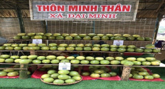 Yên Bái: Người trồng bưởi tại xã Đại Minh, huyện Yên Bình khi được xác nhận mã số vùng trồng xuất khẩu sang thị trường Hoa Kỳ