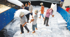 Thị trường biến động ra sao khi Ấn Độ nới lỏng các biện pháp hạn chế xuất khẩu gạo?