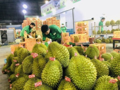 Xuất khẩu rau quả Việt Nam đạt 3,4 tỷ USD