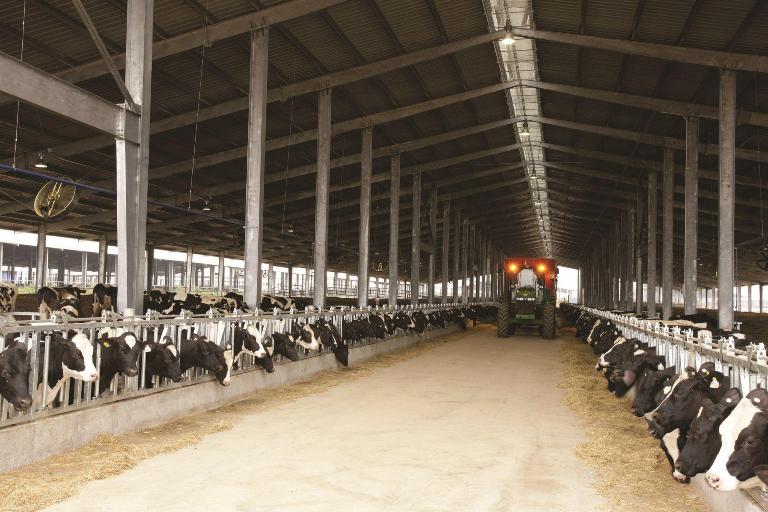 THMF currently owns the world's largest high-tech, closed-loop dairy farm complex, certified by the World Records Union in 2020