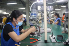 Phú Thọ: Thu 229 tỷ đồng tiền thuế từ doanh nghiệp FDI