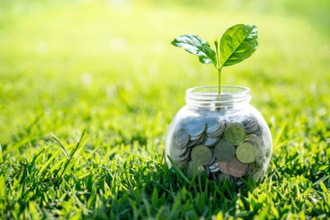 Banks and challenges in funding green projects