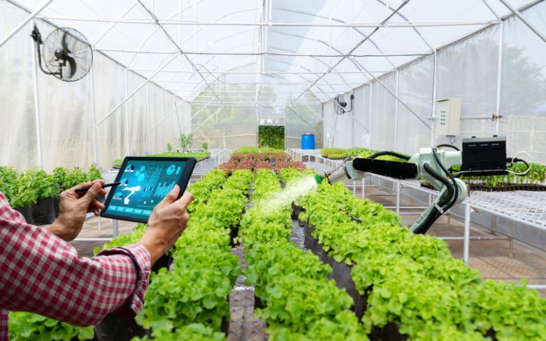 With the potential and advantages of the Vietnamese agricultural sector, the application of high technology not only helps increase productivity and production efficiency but also affirms the position of Vietnamese agricultural products in the international market