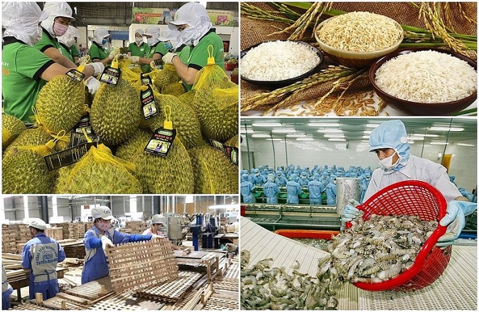 In the first 6 months of 2024, the GDP growth rate of the agriculture, forestry, and fishery sector reached 3.38%, the highest in the first half of the past 5 years; export turnover increased by 19% compared to the same period last year