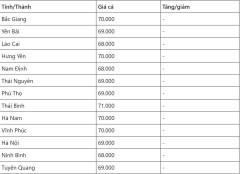 Giá heo hơi hôm nay ngày 16/8/2024: Biến động trái chiều