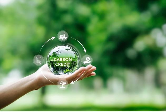 The importance of human resources for the carbon credit market cannot be underestimated