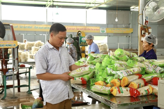 Sản phẩm mỳ gạo Hùng Lô được nhiều người tiêu dùng biết đến nhờ sàn TMĐT