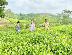 Phú Thọ: Nâng tầm sản phẩm OCOP tại huyện Hạ Hòa