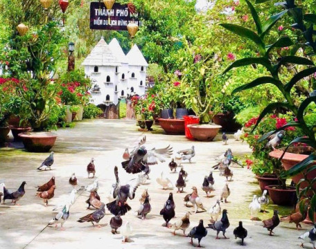 Pigeon City: A Unique Destination in the Heart of Trà Sư Melaleuca Forest