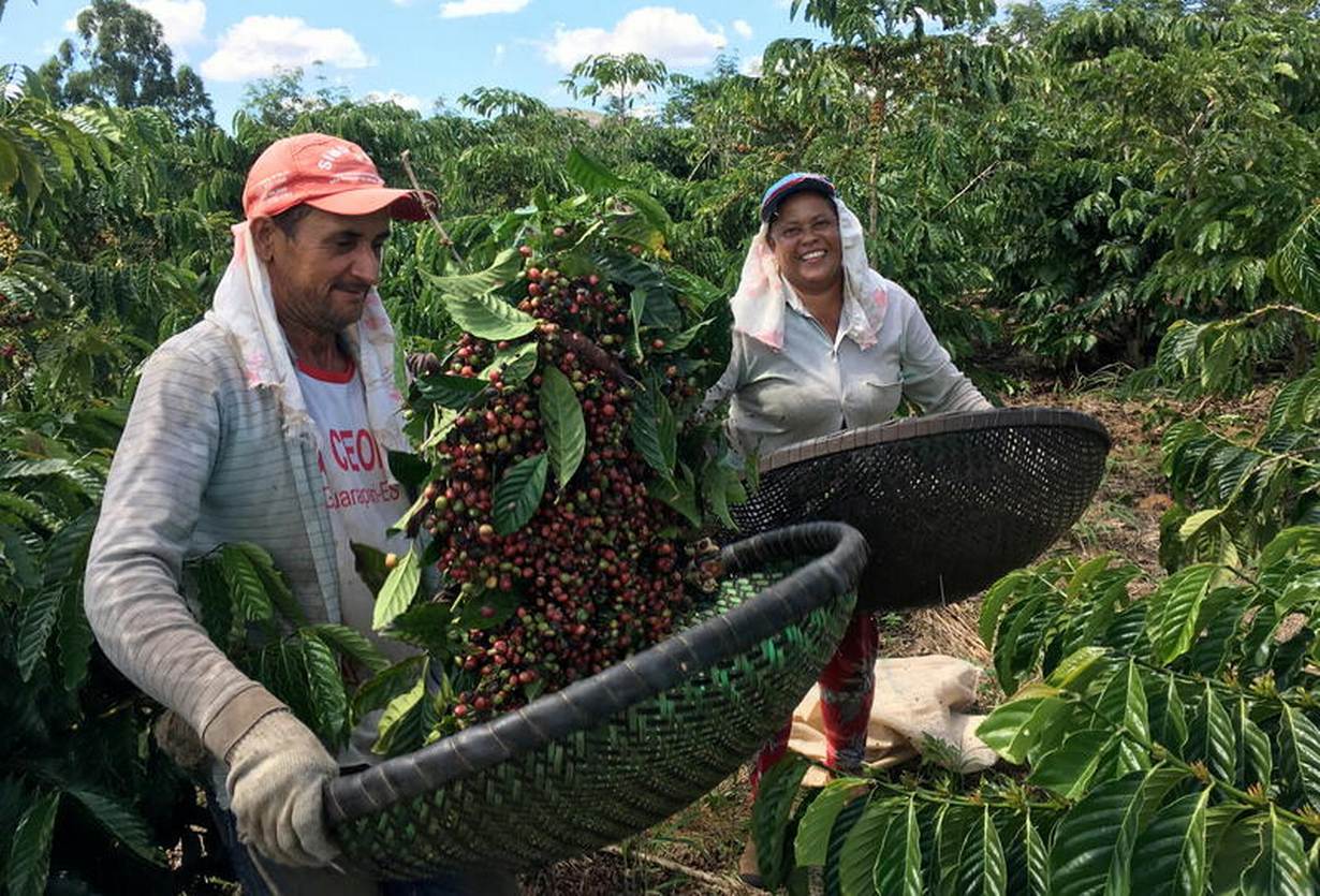 Thị trường ca cao, cà phê và đường biến động mạnh