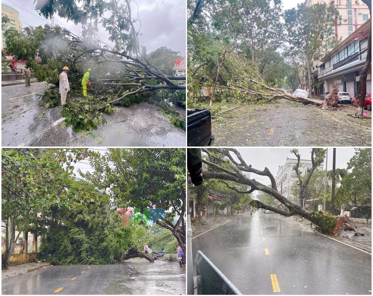 Ngay lúc này tại Hải Phòng gió rít hú liên tục,  giật mạnh dữ dội, cây đổ la liệt, người dân căng minh ra sức chống bão