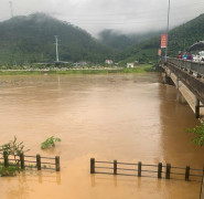 Phú Thọ: 178 ngôi nhà bị hư hỏng, 50 hộ dân tại huyện Thanh Sơn phải di dời