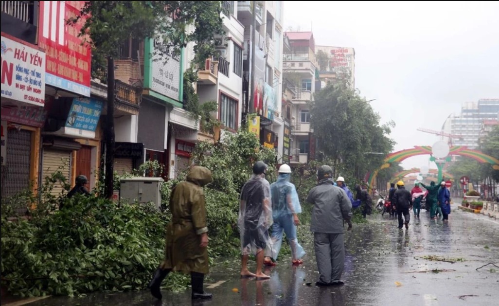 Lực lượng chức năng thành phố Thái Bình thu dọn cây đổ trên đường Lê Lợi, thành phố Thái Bình. (Ảnh: TTXVN)