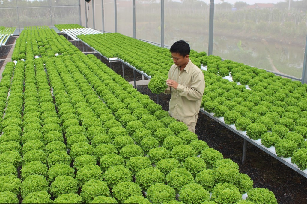 Why is it necessary to promote the process of green technology innovation in agriculture?