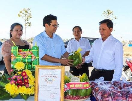 Introduction of Clean Avocado Products - A 3-Star OCOP Product by Farmers in Xuyên Mộc District, Bà Rịa-Vũng Tàu Province at the Local Product Exhibition Contest, February 2024