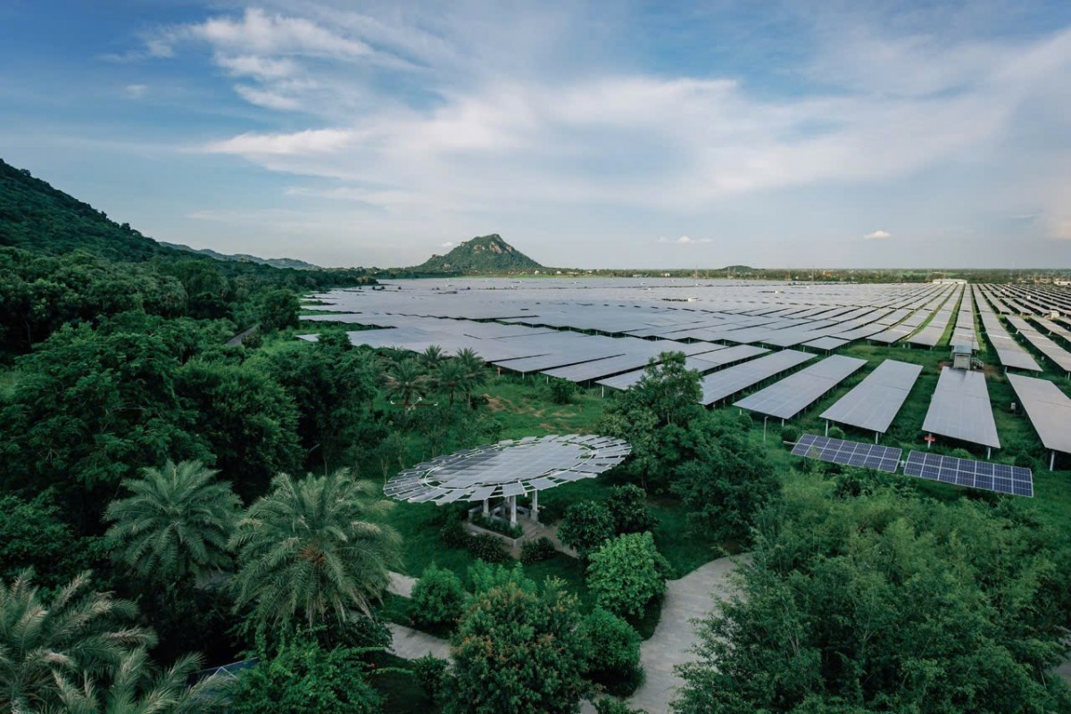 The green and tranquil beauty of the Solar Power Plant in the South