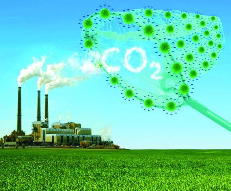 Greenhouse gas emission reduction and the carbon market fulfill commitments made at COP 26