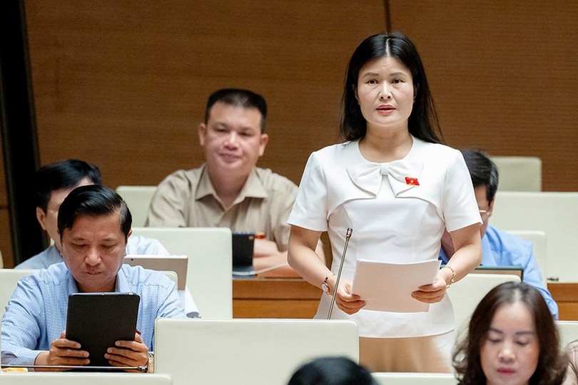 Delegate Bùi Thị Quỳnh Thơ (Hà Tĩnh delegation)