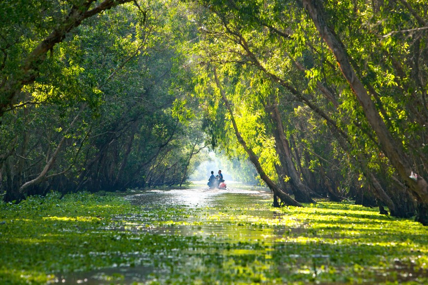 Trà Sư, a place with breathtakingly beautiful green pathways.