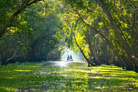 “Green treasure” in the heart of the Mekong Delta