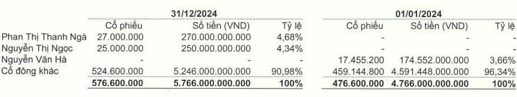 The shareholdings of the two mysterious female tycoons in HQC, according to financial reports