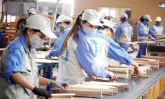 Vietnam’s strong gdp growth fails to ease labor market distress