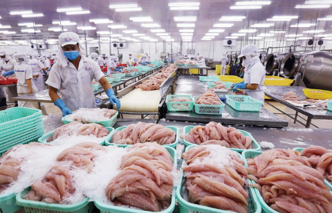 US tariffs on Brazil propel Vietnam’s pangasius into global spotlight